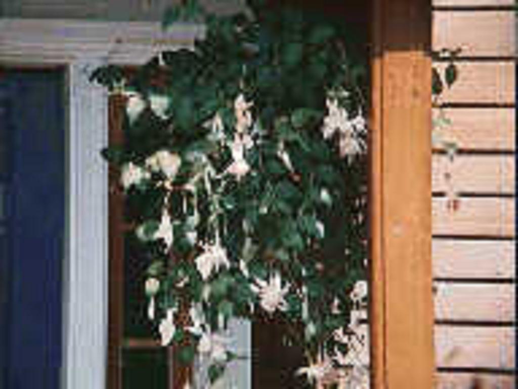 Chesapeake Inn Of Lenox Luaran gambar